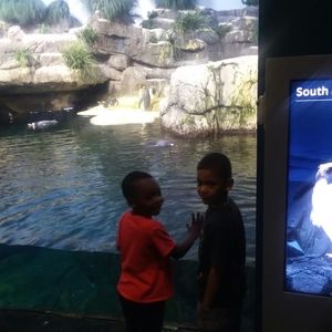 Meet your Posher, Tim